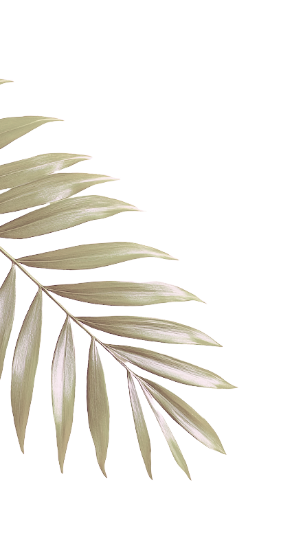 leaves image
