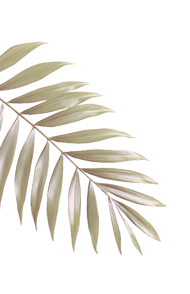 leaves image